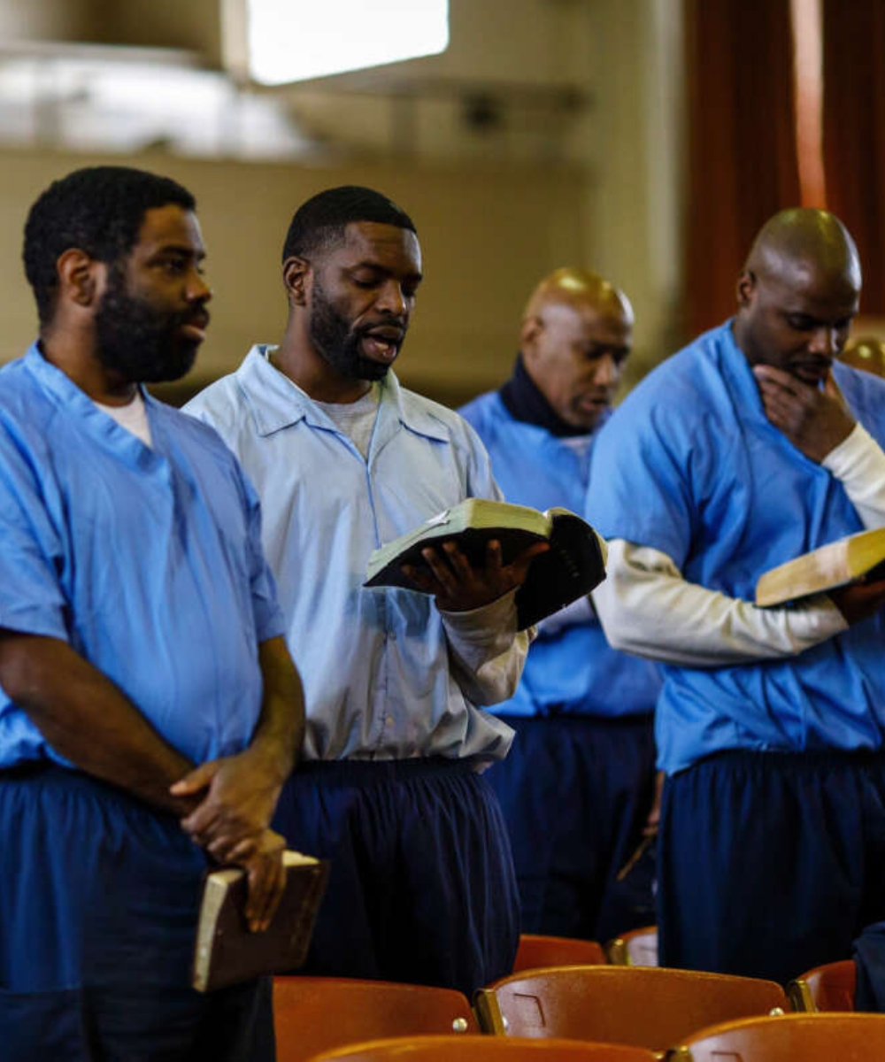 Untitled design (35)